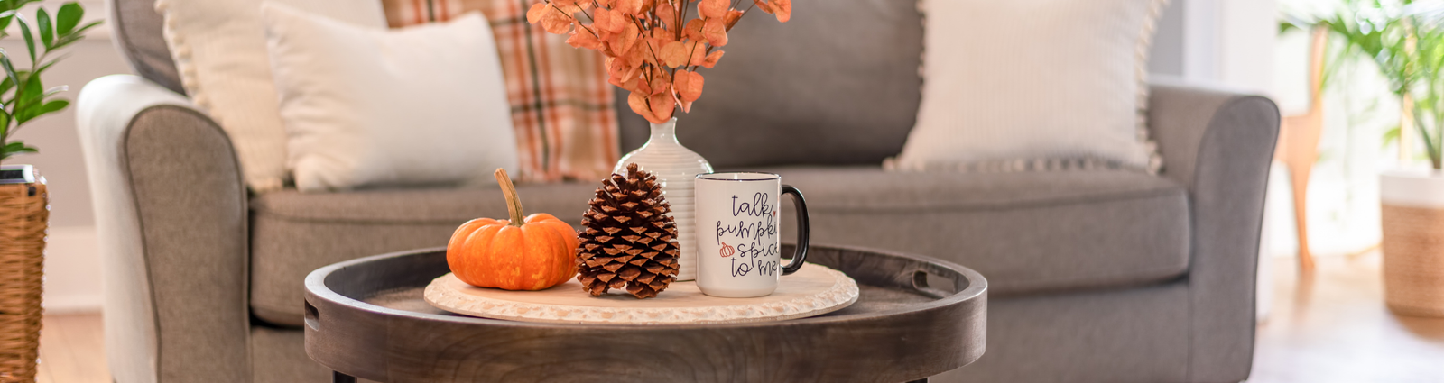 Coldwater Creek logo